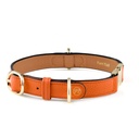 Handcrafted Engraved Leather Dog Collar - Saffron Orange (S Size)