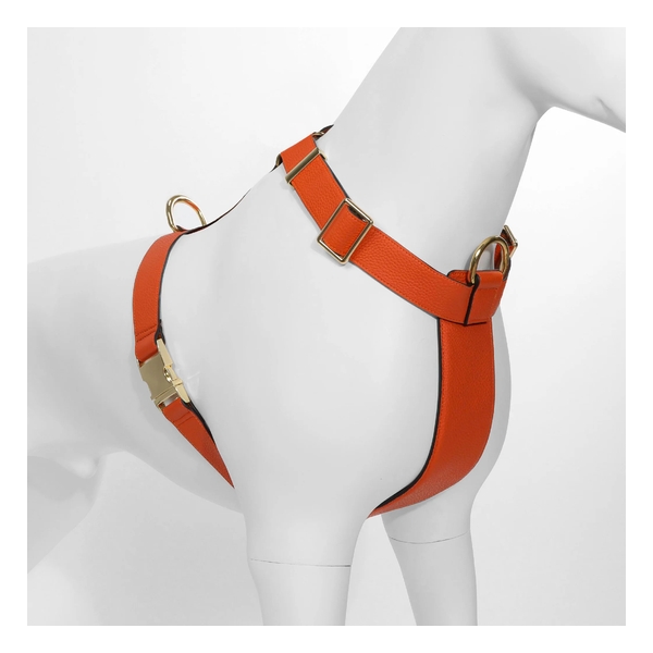 Furri Tail Handcrafted Engraved Leather Dog Harness