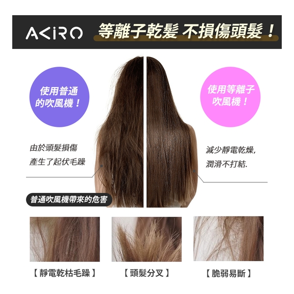 Akiro Worldstyler International Voltage Travel High-Speed Hair Dryer