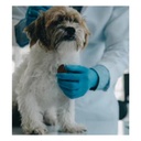 PET BALANS - PET Checker CK100