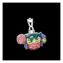 Eiliko SpinKit 3 主題身體組件全4款套裝(不含頭部)