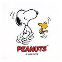 PEANUTS Authorized 800ml Cool Touch Multi Function Electric Pot (5 Eggs)