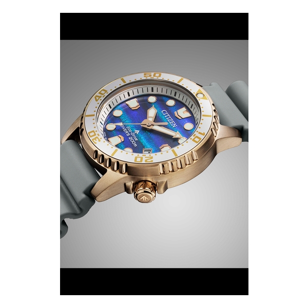 Citizen - Promaster - EO2023-00W