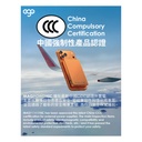 EGO MagPower 6C @ QI2.2 10000mAh POWERBANK (P31)