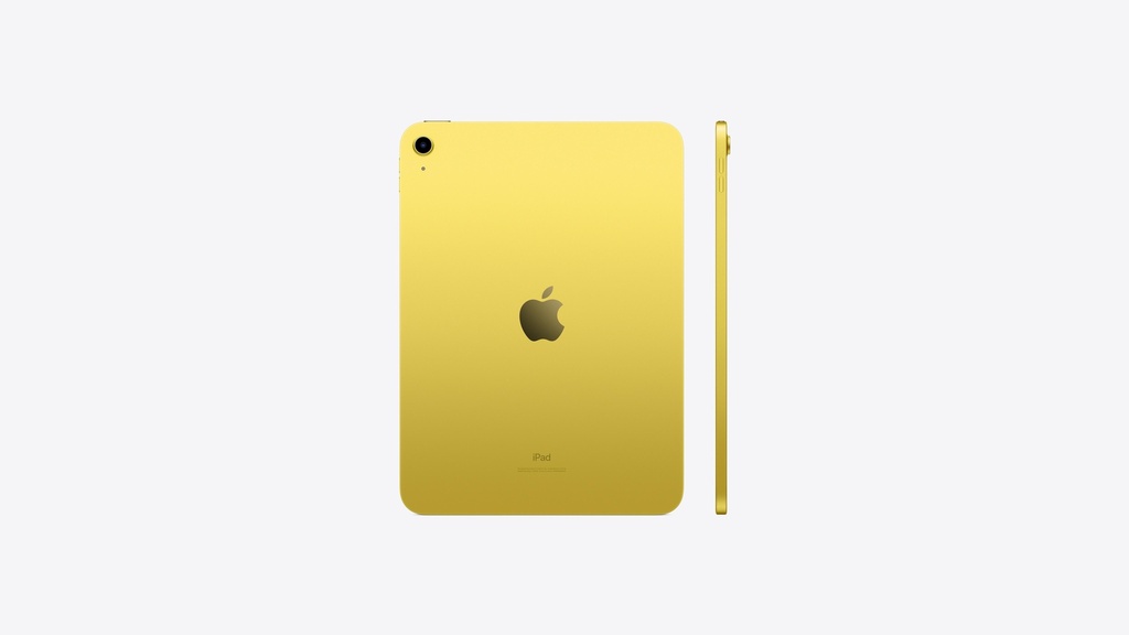 10.9-inch iPad Wi-Fi + Cellular 256GB