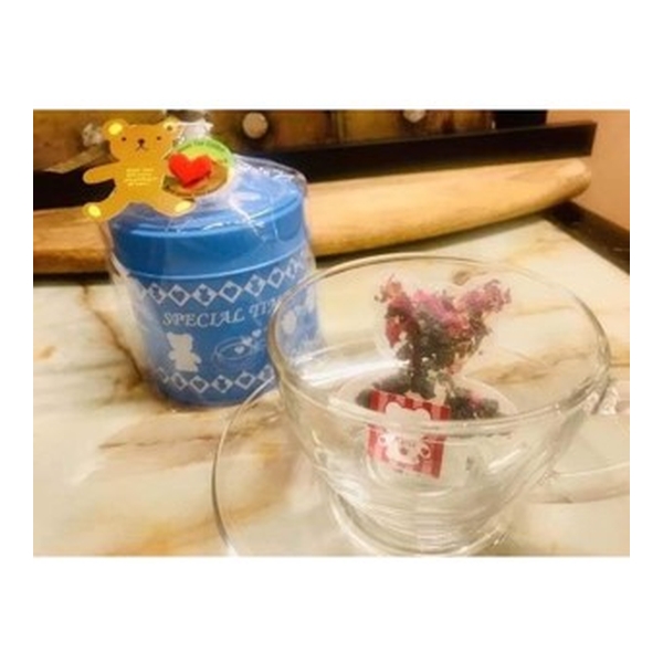 Tokunaga Coffee Bear Cub Tea Jar (Blue) - Frozen Top Oolong, Rose 2g x 5 Packs