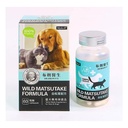 Myda-B Dr. Brown's Wild Matsutake  Formula 60's ( Tailor-Made Supplement Cats & Dogs )