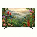 Skyworth 創維 - 50G66K 50吋 G66K 系列 4K UHD Android 14 智能電視