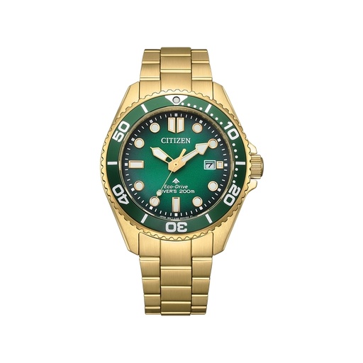 [150F0269] Citizen - Promaster - BN0262-59W