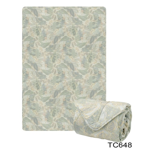 CASABLANCA Antibacterial Mint Tencel Summer Quilt - (TC648SQQ)
