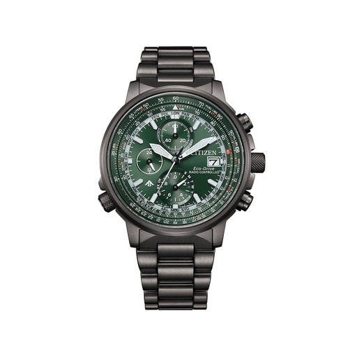 [150F0313] Citizen - Promaster - AT8304-57W