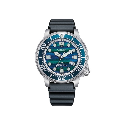 [125F0102] Citizen - Promaster - BN0167-09W
