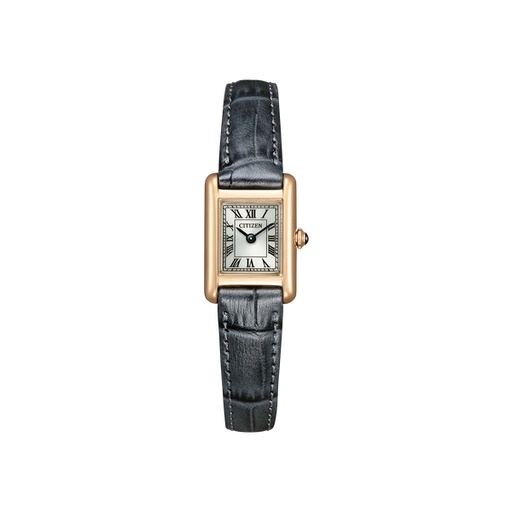 [125F0112] Citizen - Eco Drive - EG2799-18W