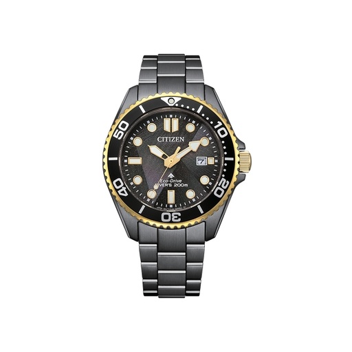 [150F0382] Citizen - Promaster - BN0264-53E