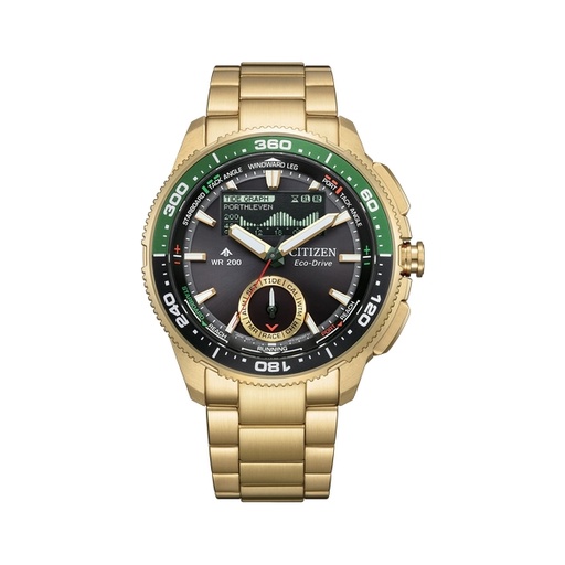 [125F0968] Citizen - Promaster - JV3002-51E