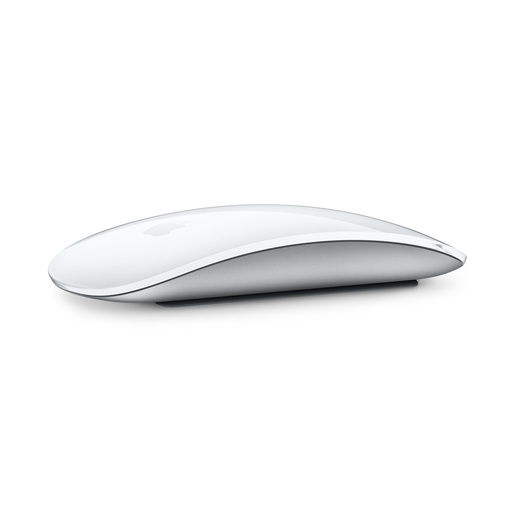 [AC00878] Magic  Mouse