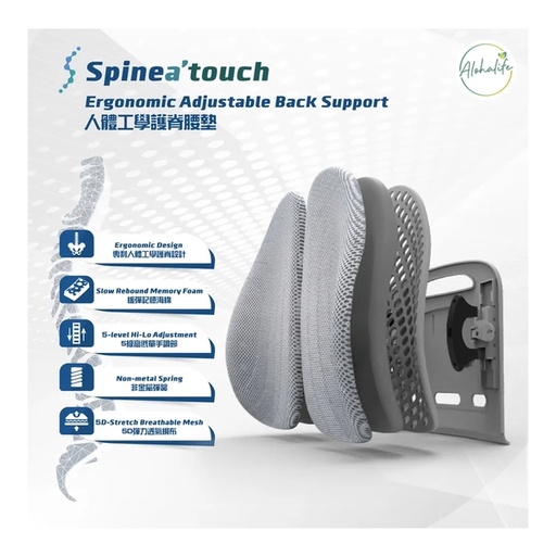 [162F00023] Spinea'touch Ergonomic Double Wing Back Support - Standard Grey